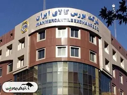 اطلاعیه عرضه بورس کالا امروز یکشنبه ۲۱ اردیبهشت |سهامداران کگهر، شگویا و کچاد بخوانند