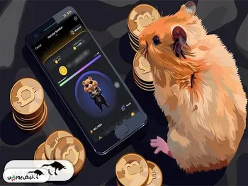 کارت‌های همستر امروز ۶ شهریور + آموزش وارد کردن