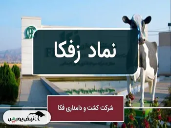 بررسی طرح های کلان و تاثیرگذار در زفکا (بخش اول)