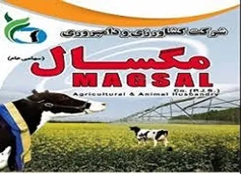 توقف نماد (زمگسا ۱)