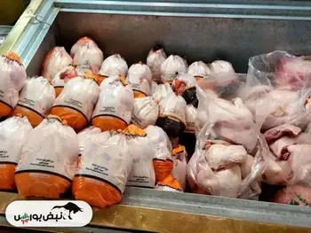 قیمت مرغ امروز سه‌شنبه ۲۱ بهمن ۱۴۰۴