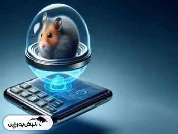 قیمت همستر کامبت در این صرافی مشخص شد