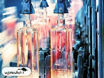 کدال کگاز | نسبت به سال قبل چقدر رشد کرد؟