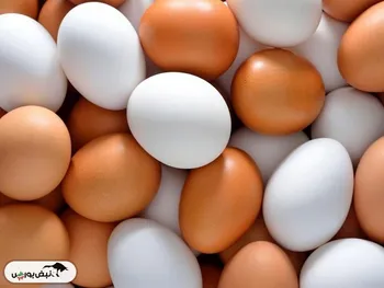 قیمت تخم‌مرغ امروز ۲۳ اردیبهشت ۱۴۰۴