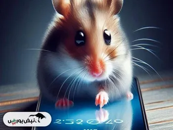 کد مورس همستر امروز ۱۳ شهریور + آموزش وارد کردن