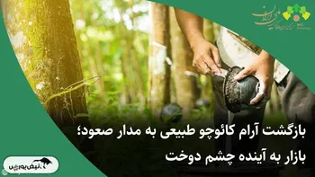 بازگشت آرام کائوچوی طبیعی به مدار صعود؛ بازار به آینده چشم دوخت