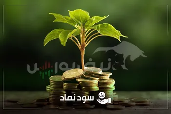 زمان واریز سود نماد‌هایی که هفته گذشته مجمع داشتند| واریز سود ۸۷۰۰ ریالی نماد پتروشیمی در بهمن ماه