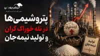 پتروشیمی‌ها در تله خوراک گران و تولید نیمه‌جان
