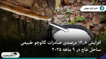 افزایش ۱۴.۸ درصدی صادرات کائوچو طبیعی ساحل عاج در ۹ ماهه ۲۰۲۵