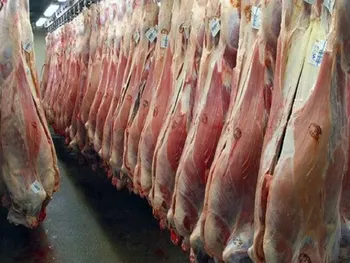 قیمت گوشت قرمز امروز ۲۵ مرداد ۱۴۰۵