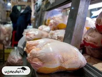 قیمت مرغ چهارشنبه ۲۹ بهمن ۱۴۰۴