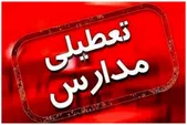 مدارس تا کی تعطیل شدند؟