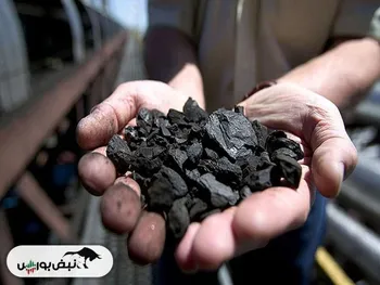 گروهی با کارنامه سیاه فروش! | کزغال در دی ماه چقدر فروخت؟