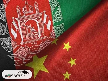 طالبان ۸۰ میلیون دلار نفت فروخت