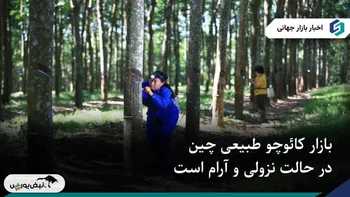 بازار کائوچو طبیعی چین در حالتی نزولی و آرام است