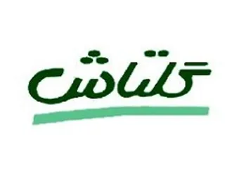 درآمد شگل در پایان سال مالی چگونه بود؟