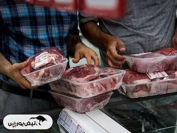 گوشت قرمز هندی وارد بازار ایران شد