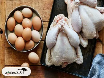 روند کاهش قیمت مرغ و تخم مرغ در بازار