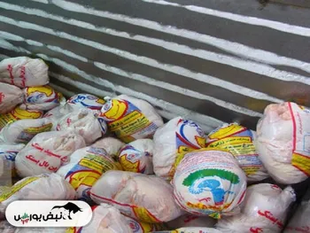 عرضه روزانه ۲۰۰۰ تن مرغ گرم در تهران