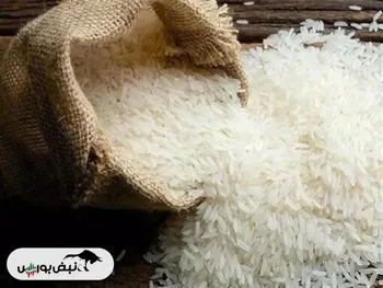 تداوم افزایش عرضه برنج پاکستانی راه حل تنظیم بازار