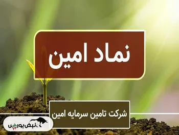 اختلاف حقوقی ونیکی و تامین سرمایه امین! | کدام یک برنده رای هیئت داوری شدند؟