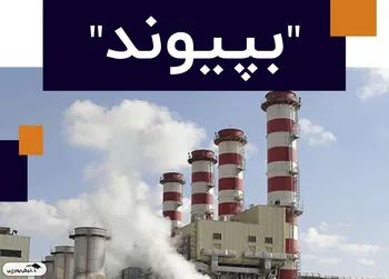 بپیوند چه زمانی بازگشایی می شود؟