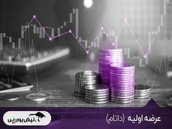 در عرضه اولیه داتام به هر کد چند سهم رسید؟