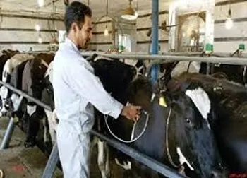 تغییر وضعیت نماد (زبینا ۱)