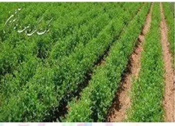 افزایش سرمایه ۵۱۲ درصدی «آبین»