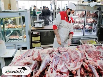 گوشت تنظیم بازاری وارداتی به زودی در سراسر کشور عرضه می‌شود