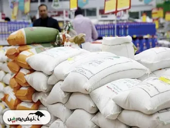 خرید حمایتی برنج راه حلی برای تنظیم بازار