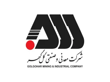 کگل در ۳ ماه چقدر سود داشت؟