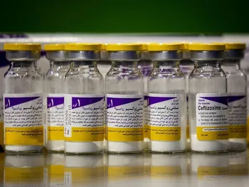 بیوتیک امروز بازگشایی می شود؟