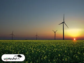 یکه‌تازی تگزاس در راهبری پروژه‌های نوین انرژی تجدیدپذیر