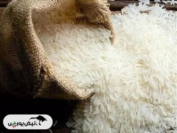 قیمت جدید انواع برنج ایرانی ۱۴۰۴/۱۱/۰۶