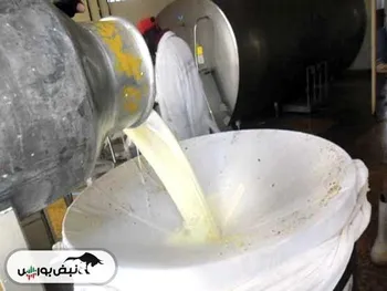 خرید حمایتی روزانه ۱۰ هزارتن شیرخام امری ضروری است