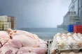 چرا قیمت مرغ و تخم مرغ همچنان بالا میرود؟