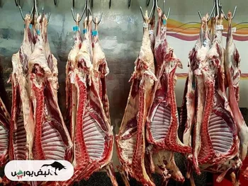 افزایش توزیع گوشت گرم در میادین میوه و تره بار