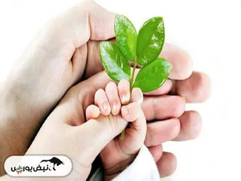 مراحل خرید صندوق‌های قابل معامله برای متولدین ۱۴۰۱