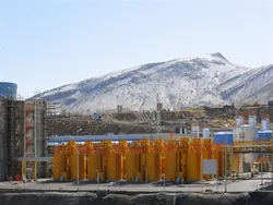 شلرد در عملکرد ۱ ماهه چند درصد رشد داشت؟