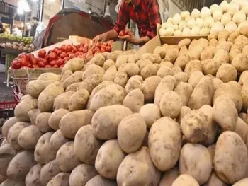 بازار سیب زمینی و پیاز معتدل است