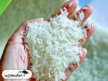 قیمت جدید برنج ایرانی در بازار ۱۴۰۴/۱۰/۰۶