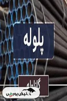 پلوله به مجمع می رود