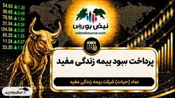 سود حیات ۱۴۰۵ کی واریز می‌شود و چقدر است؟