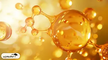 کدام نمادهای بورسی اسید چرب تولید می کنند؟