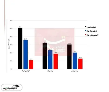 نگرانی صنعت پتروشیمی از نصف شدن تخصیص گاز در زمستان