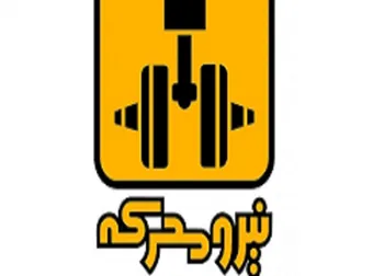 افشای اطلاعات در این نماد