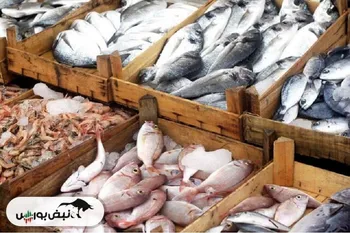 میزان مشارکت مردم در صنعت شیلات چقدر است؟