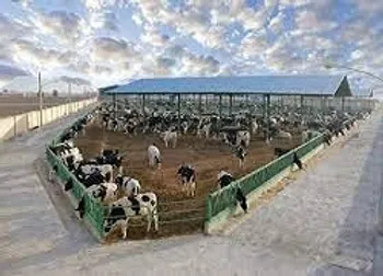 زمگسا به ازای هر سهم سود شناسایی کرد