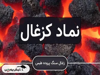 بررسی دو طرح کلان و سنگین زغال سنگ پروده طبس